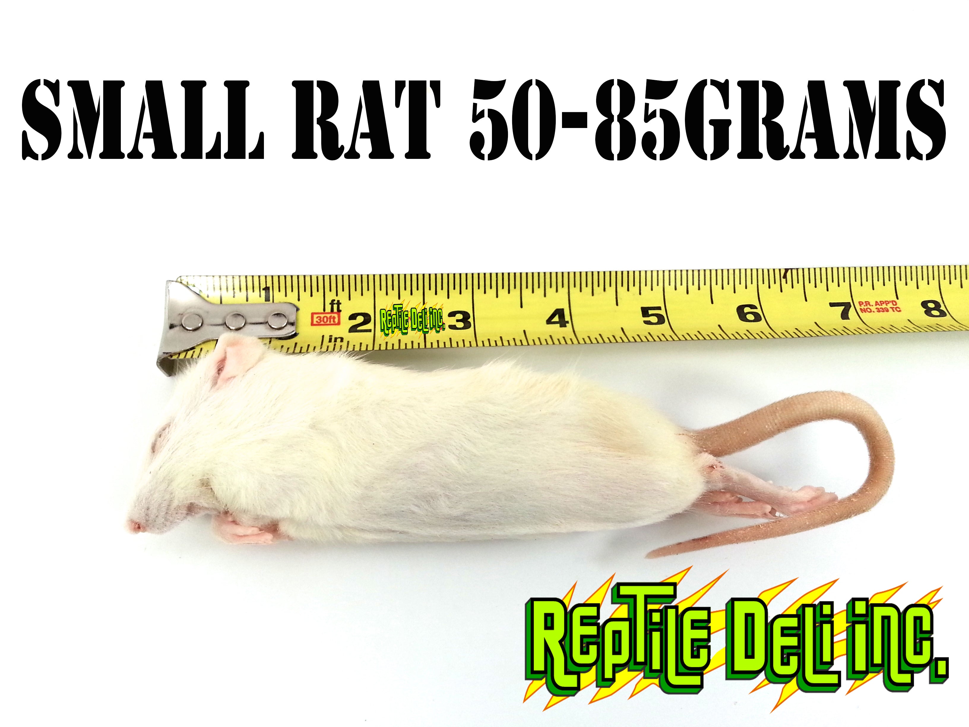 Frozen Rat - Small