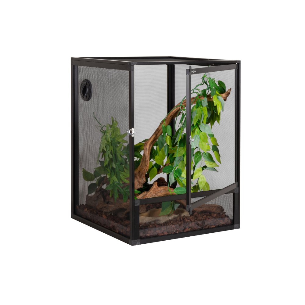 Screen Terrariums | Reptile Deli Inc.