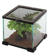 REPTIZOO - Mini Terrarium - Black - 8-1/2” x 8-1/2” x 8” (AK02B) - Reptile Deli Inc.