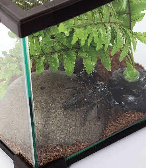 REPTIZOO - Mini Terrarium - Black - 8-1/2” x 8-1/2” x 8” (AK02B) - Reptile Deli Inc.