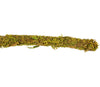 REPTIZOO - Terrarium Decorations - Natural Moss Vine (RV0210) - Reptile Deli Inc.