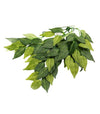 REPTIZOO - Terrarium Decoration - Terrarium Plant - Banyan Leaves - S (TP002 12”) - Reptile Deli Inc.