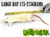 Frozen Rat - Large - Reptile Deli Inc.