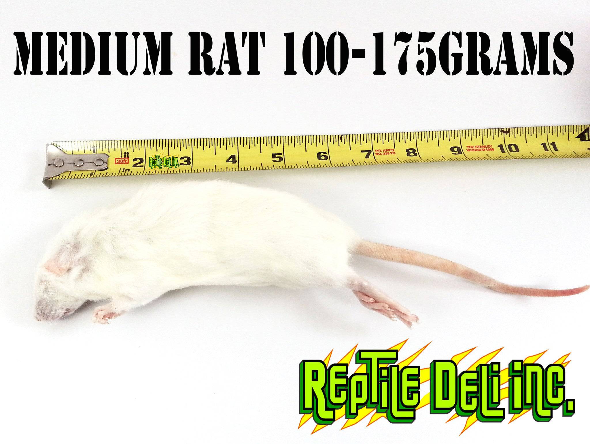 Frozen Rat - Medium - Reptile Deli Inc.