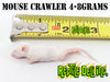 Frozen Mouse - Crawler - Reptile Deli Inc.